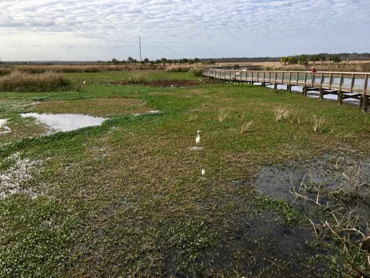 Things to Do in Gainesville on a Florida Getaway Vacation • McCool Travel