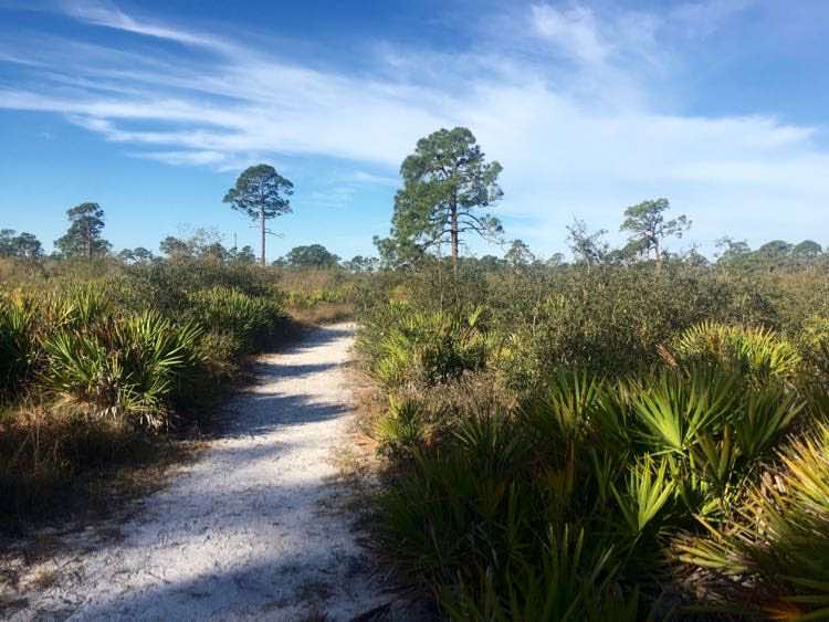 15 Cool Things to Do in Sarasota Florida • McCool Travel